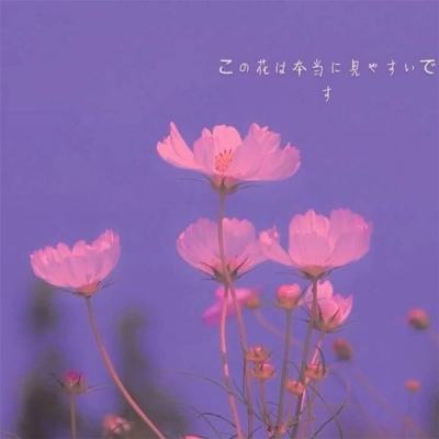 灵域仙魔九游版下载